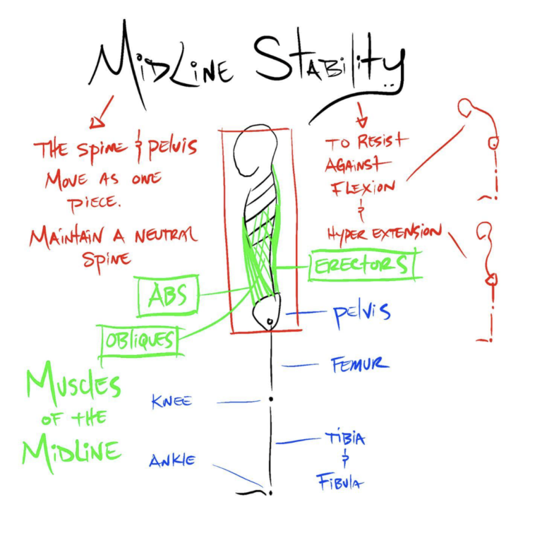 drawing of midline stability